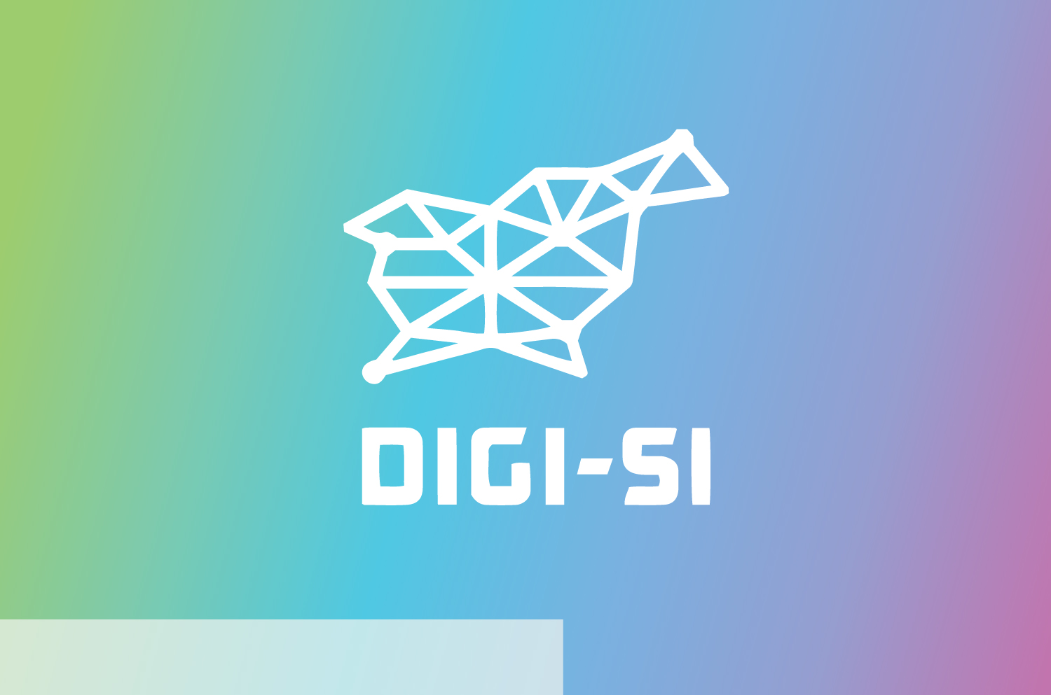 digi-si