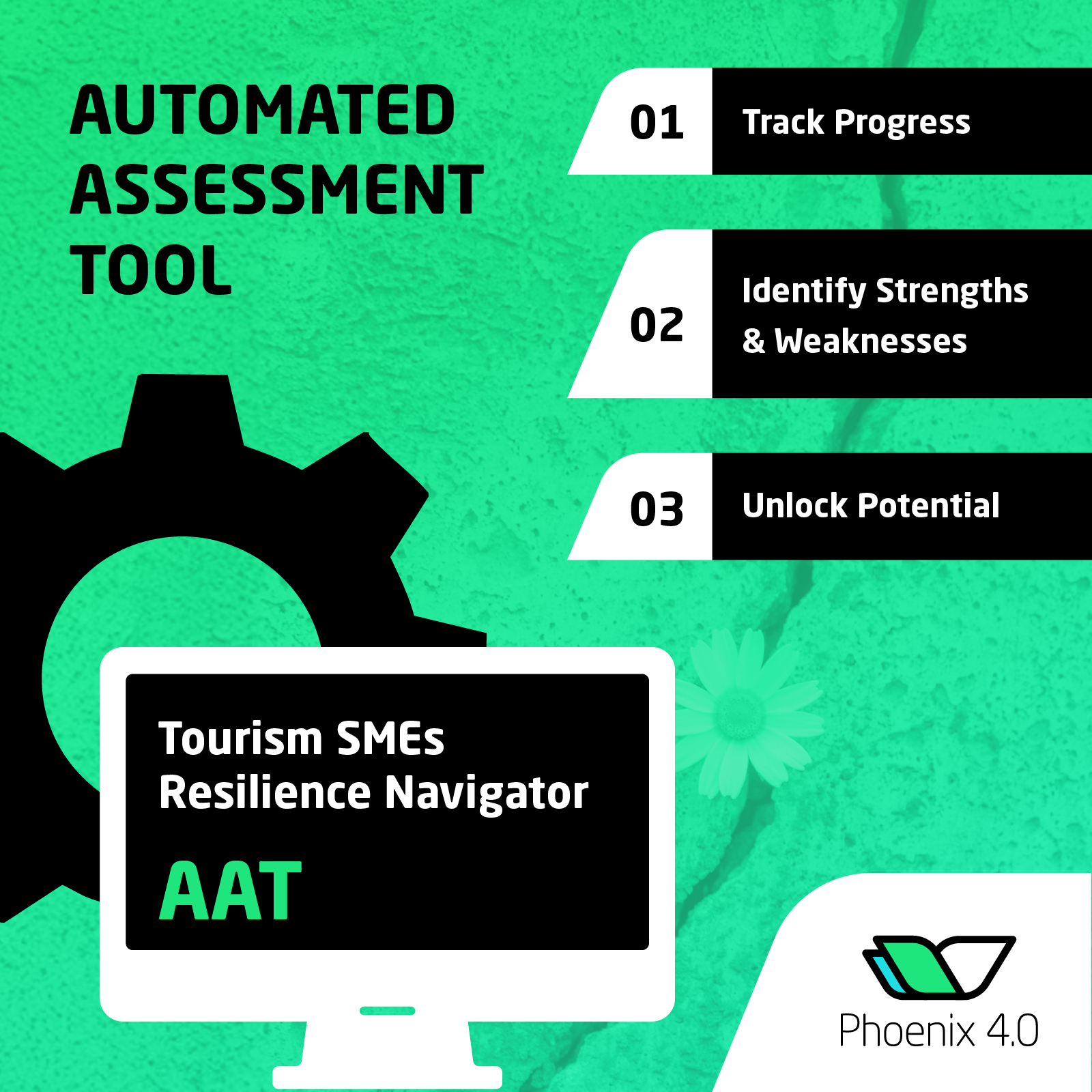 Automated assessment tool for Phoenix